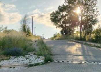 KALDIRIMLARI OTLAR KAPLAYINCA VATANDAŞLARIN YILAN KORKUSU BAŞLADI