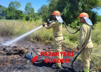 Pazaryeri’nde Tarla Temizliği İçin Yakılan Ateş Yangına Neden Oldu